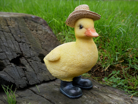 Chick With a Hat